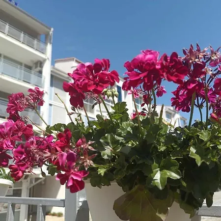 Apartamento 2-bedroom With Pool In Elit 2 *